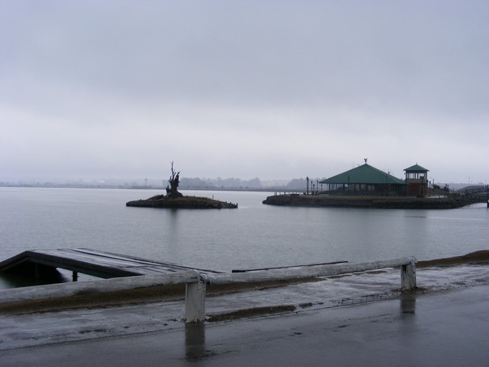 Island with a tree and a building on a lake