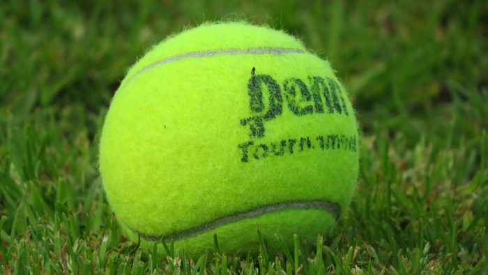 Penn Tournament Tennis Ball on Grass