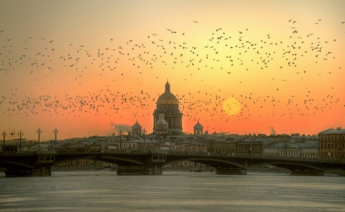 Sunset Over Saint Petersburg with Birds and Cathedral