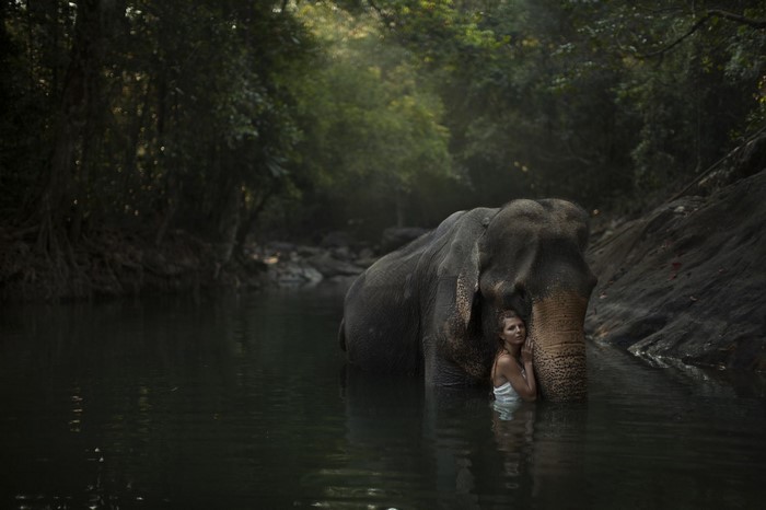 Woman and elephant in a forest river