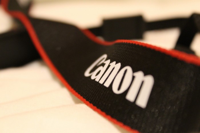 Canon camera strap with red trim
