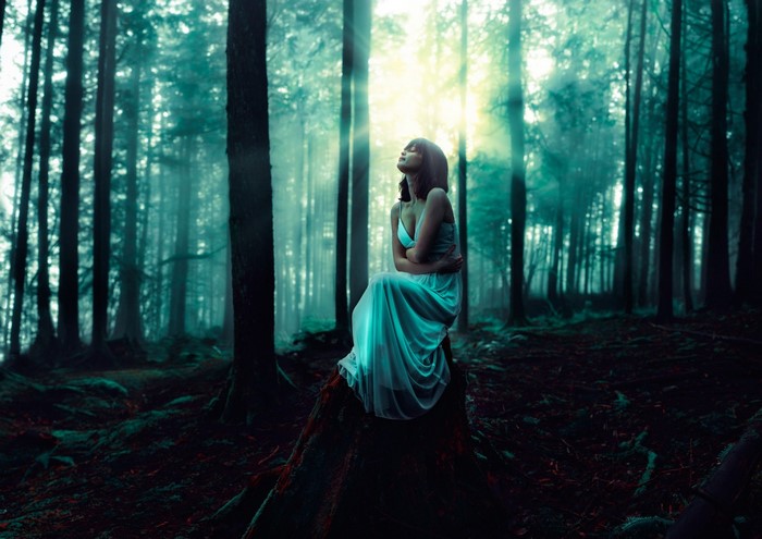 Woman in white dress sitting on tree stump in forest
