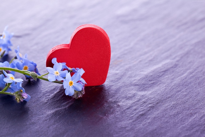 Red heart with blue forget-me-not flowers on dark surface
