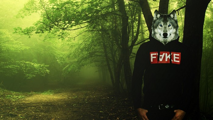 Wolf head on a person in a forest