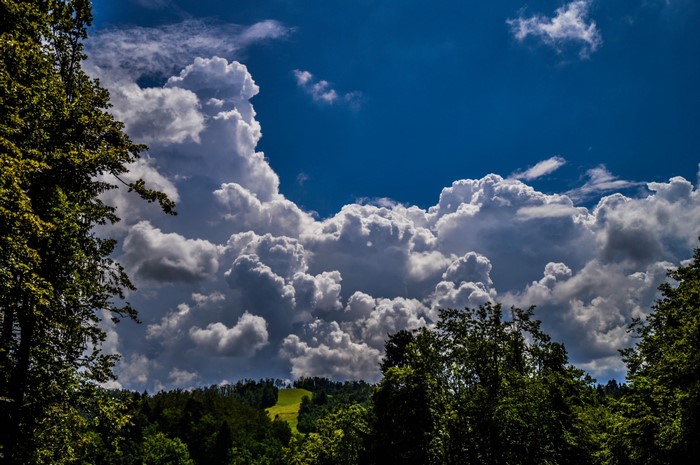 Cumulus clouds over a green forest landscape