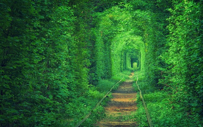Tunnel of Love, Ukraine