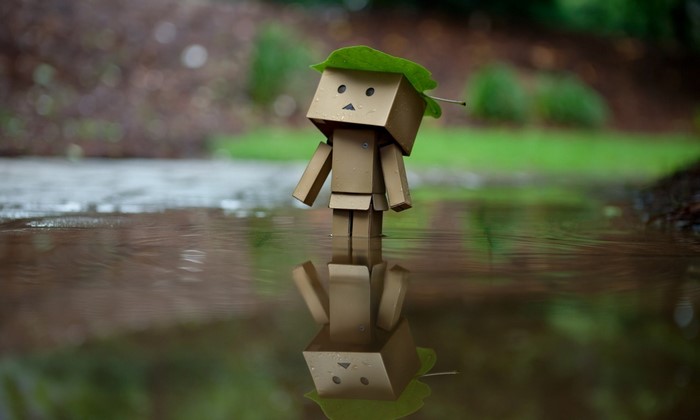 Danbo toy with leaf on head in puddle