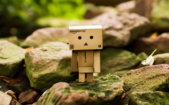 Danbo Amazon toy on mossy rocks with flower