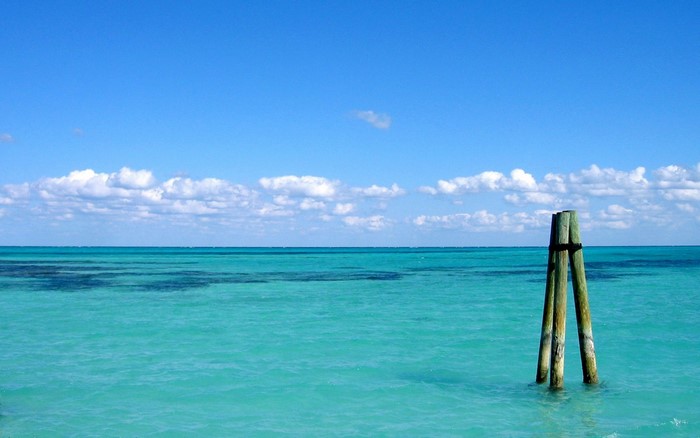 Wooden posts in turquoise ocean under blue sky