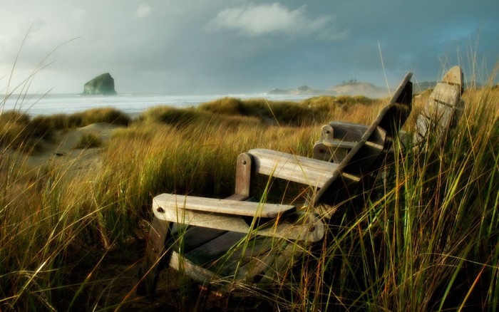 Wooden bench on a grassy dune overlooking the sea