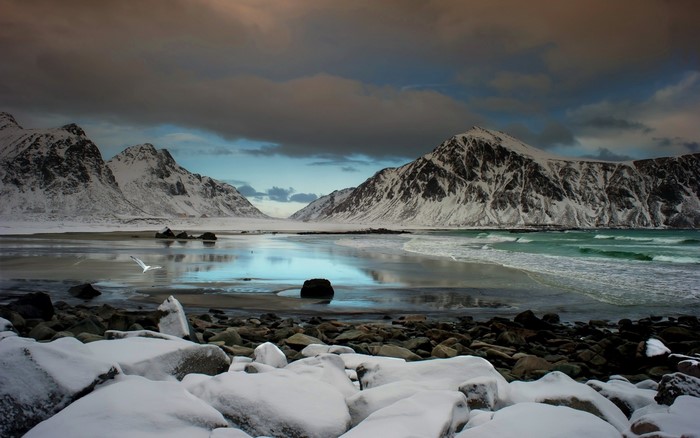 Snowy mountains and a beach with a bird flying
