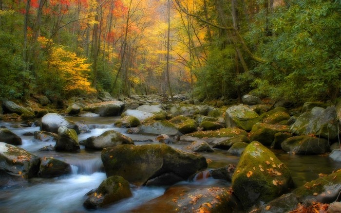Autumn forest river with colorful foliage and mossy rocks