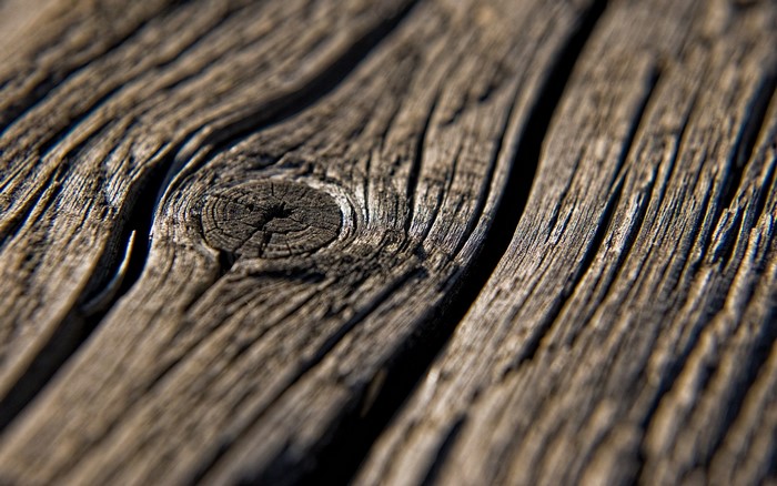 Close-up of weathered wood grain and knot