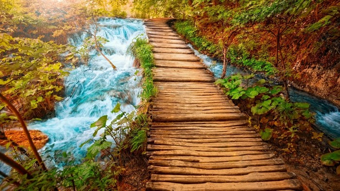 Wooden walkway along a flowing stream in a forest