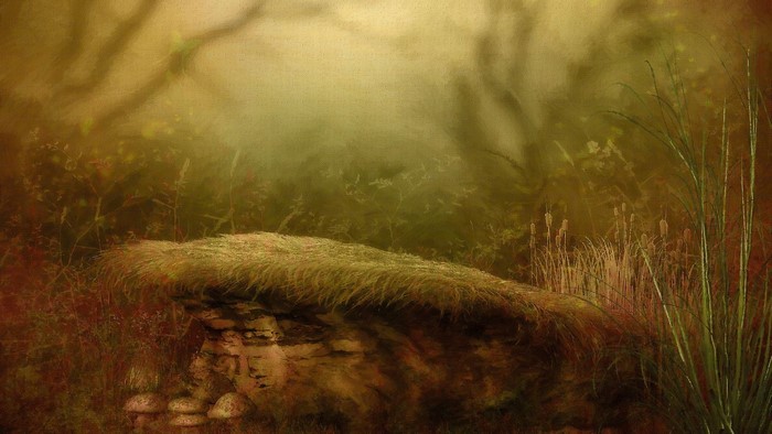 Mossy rock with mushrooms in a misty forest