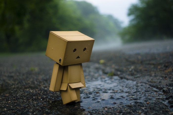 Danbo robot walking on a wet road