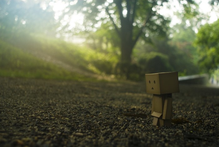 Danbo figure in a misty forest with sunlight
