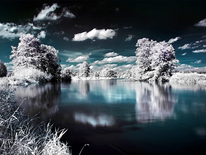 Infrared landscape with trees reflecting in a lake