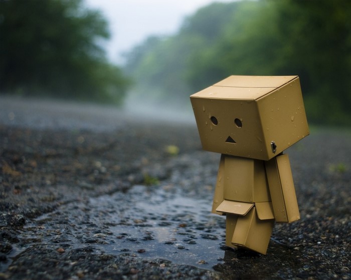 Danbo walking on a wet road in the fog