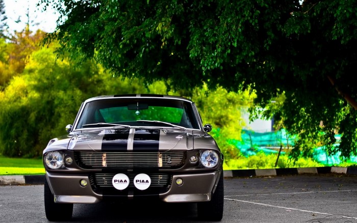 1967 Shelby GT500 Eleanor Mustang parked under a tree