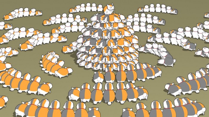 Many cats in a pile and in lines