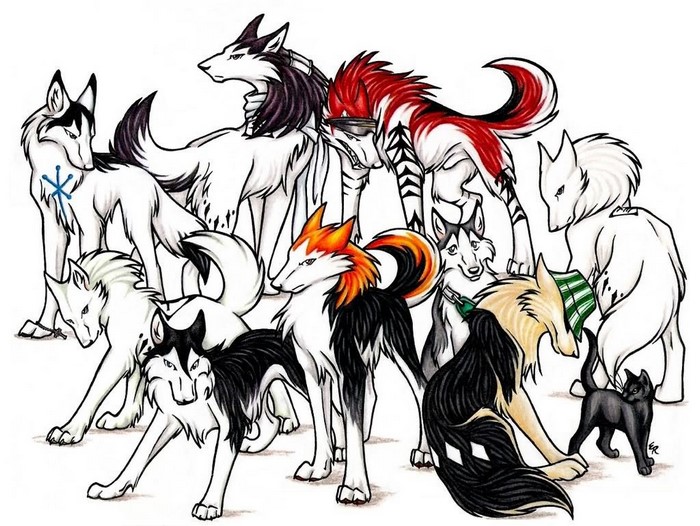 Group of anthropomorphic wolves and a black cat