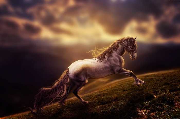 Gray horse running on a grassy hill under cloudy sky