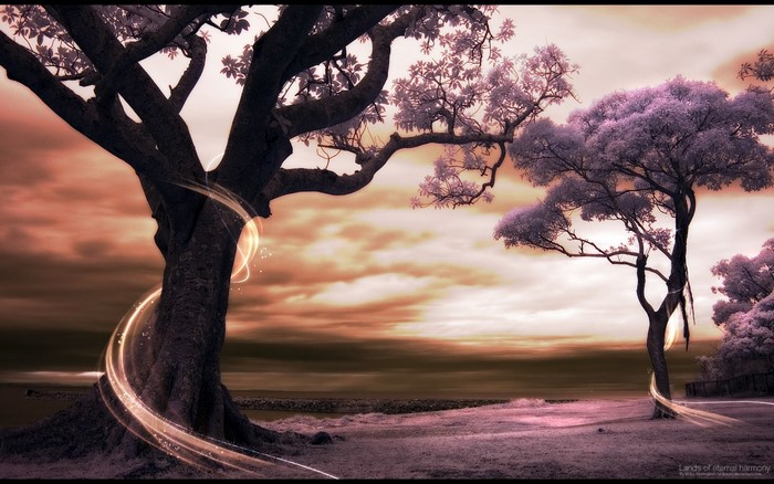 Digital art of trees with glowing light trails at sunset