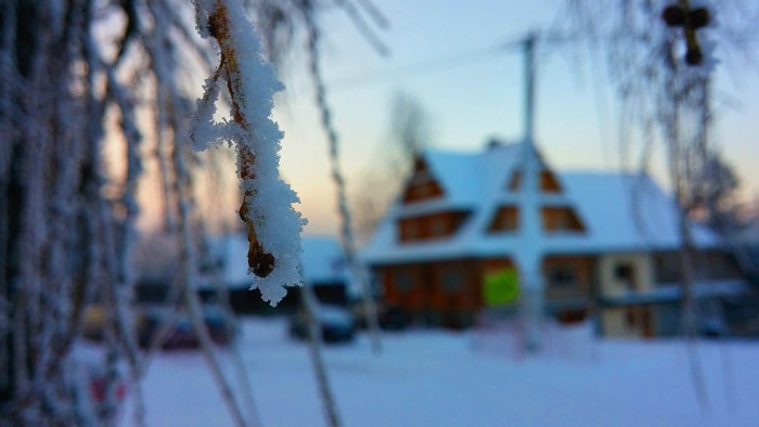 Frosty branch in front of a snowy house