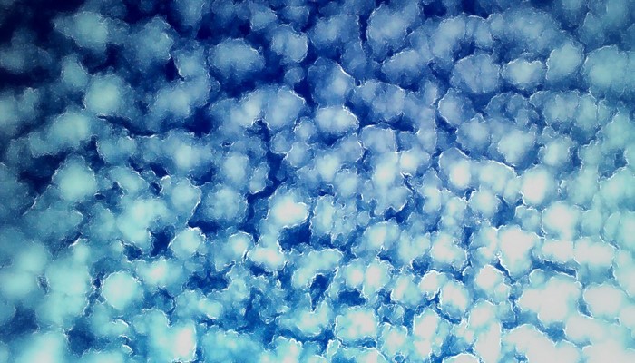 Abstract blue and white textured pattern