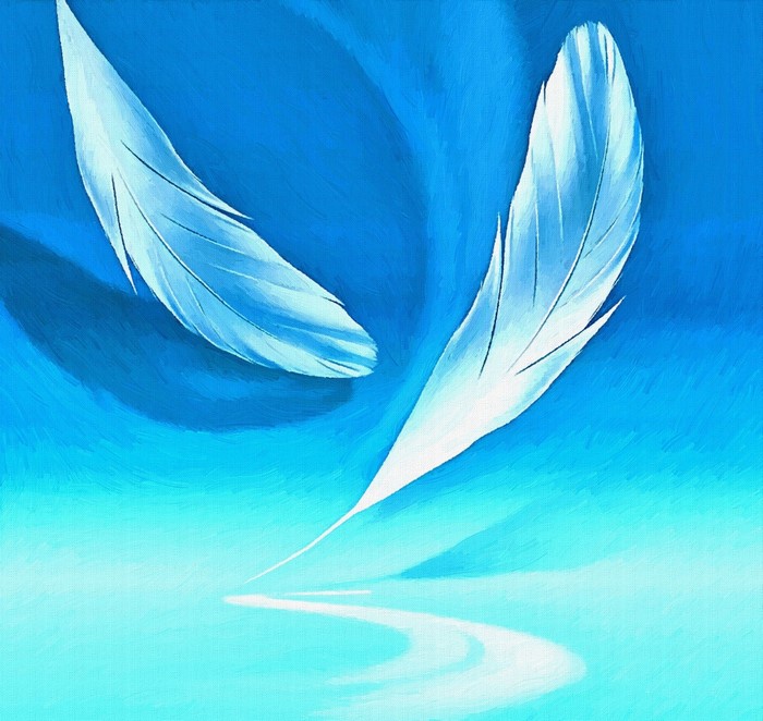 Two white feathers on a blue background with reflection