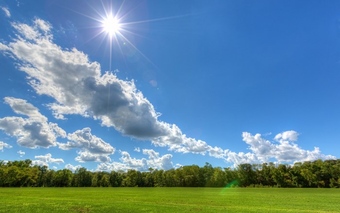 Sun shining over a green field and trees