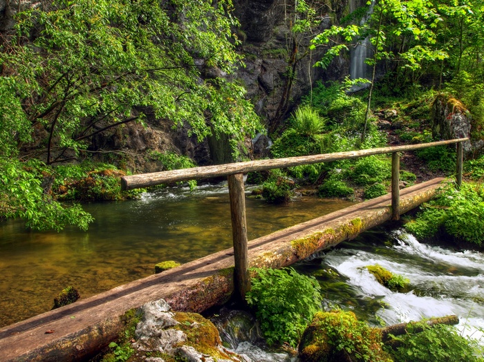 forest, 5k, trees, bridge, waterfall, green, 4k, plants, HD Wallpaper ...