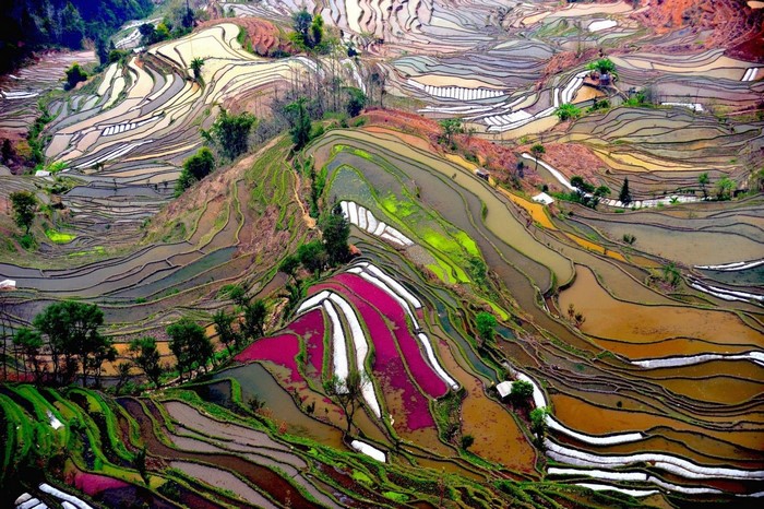 Terraced rice paddies in a mountainous landscape