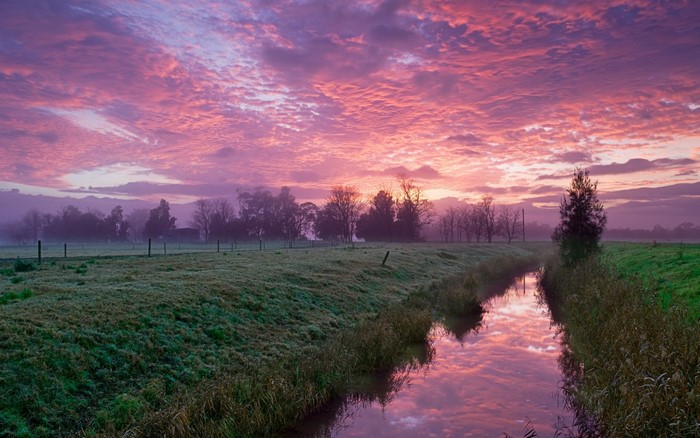 Pink sunrise over a misty rural landscape with a stream