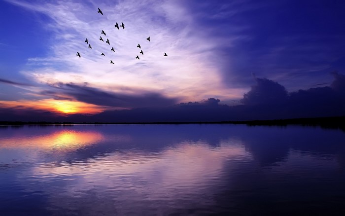 Birds flying over a lake at sunset with colorful sky