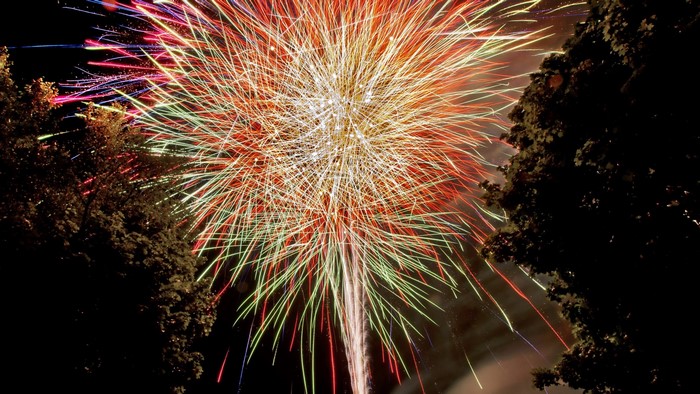Fireworks exploding in the night sky over trees