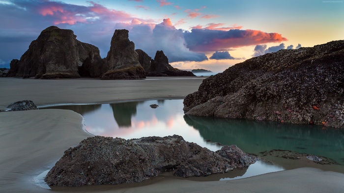 Sea stacks and tide pools at sunset