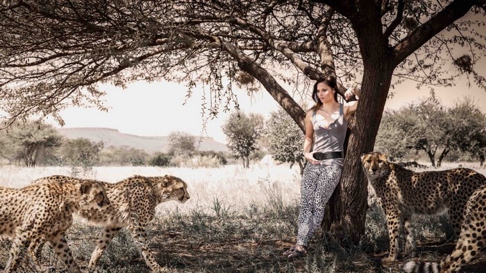 Woman with cheetahs in a savanna landscape