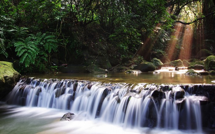 Sunlight streams through trees onto a waterfall in a forest