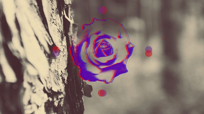 Anaglyph 3D Rose next to Tree Bark