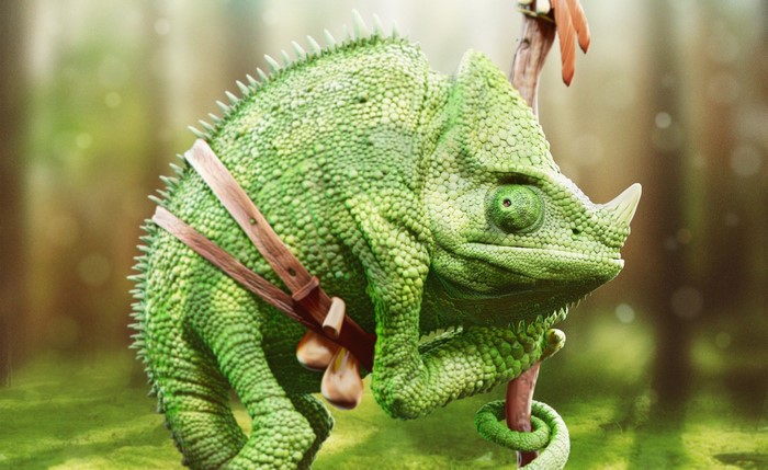Green chameleon with a horn on a branch