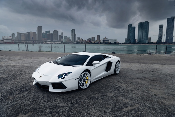 White Lamborghini Aventador in Miami