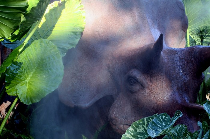 Dinosaur in a jungle with large leaves