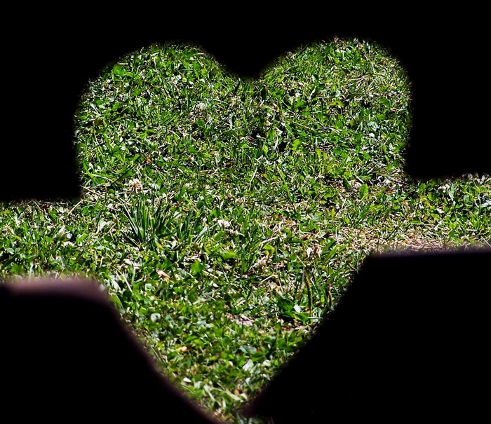 Heart shape cut out of darkness revealing green grass