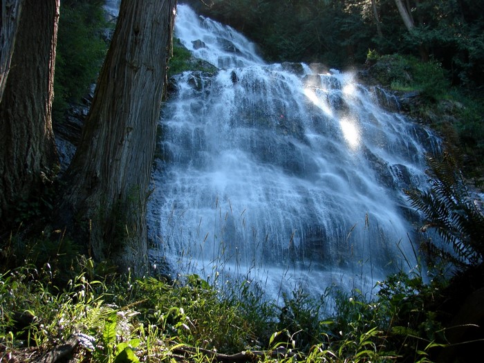 Waterfall cascading through a forest with sunlight