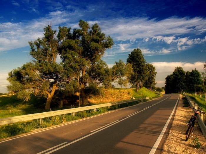 Roadside trees and a bicycle under a blue sky