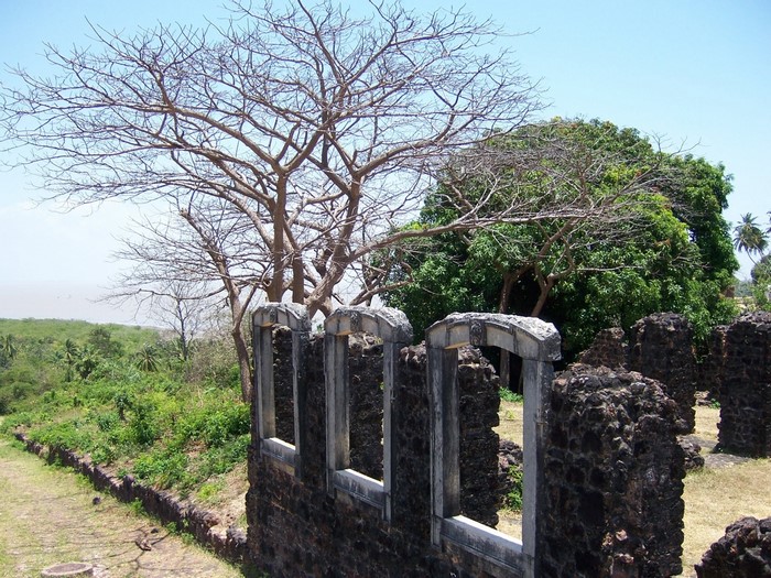 Ruins of an old stone structure with trees and a distant view