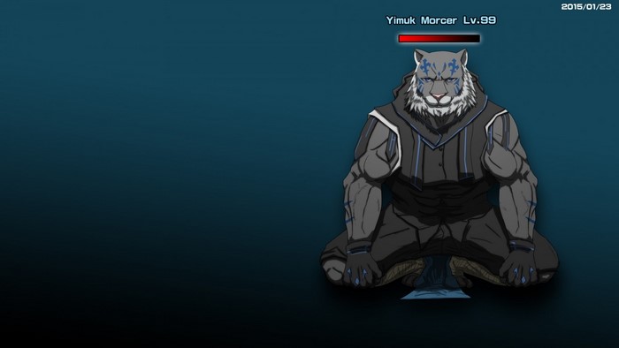 Yimuk Morcer Lv.99 illustration