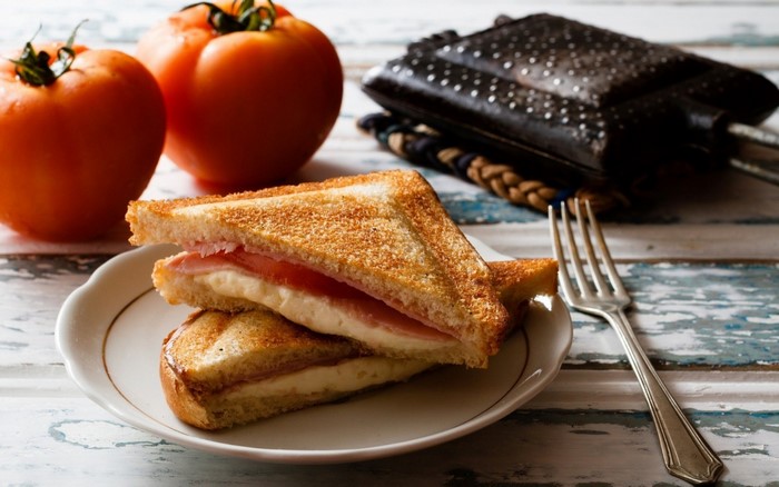 Grilled cheese sandwiches with tomatoes and a sandwich press